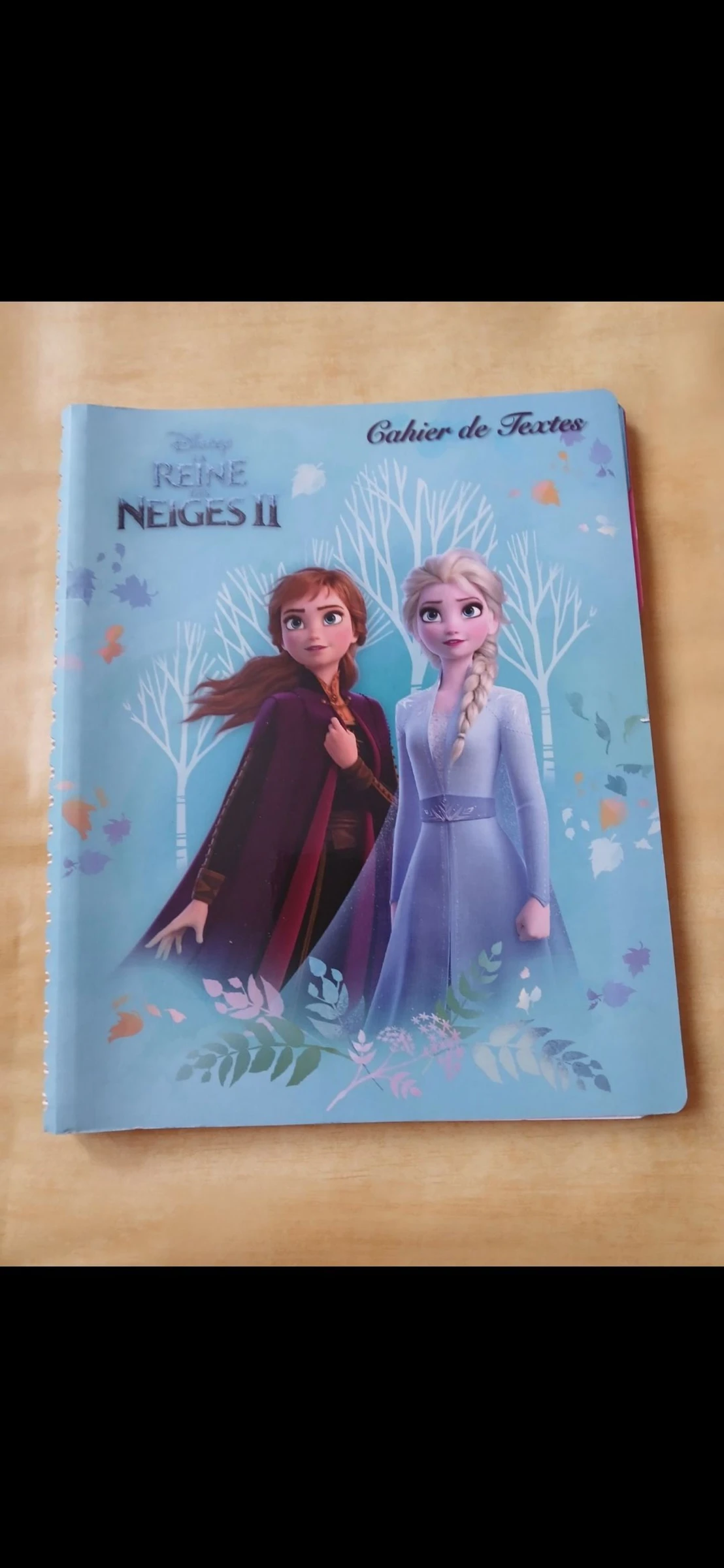 Cahier de texte fille la reine des neiges disney 